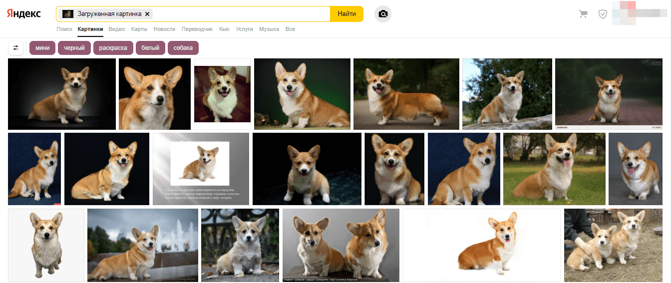 Пример поиска по картинкам в Яндексе.
